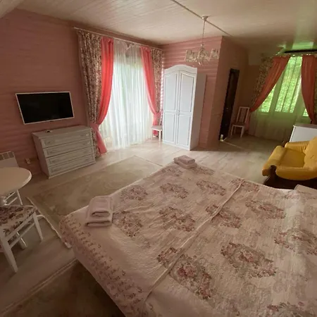 Hotel Oasis Karpat