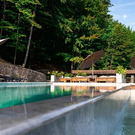 Oasis Karpat Hotel Polyana (Transcarpathia)