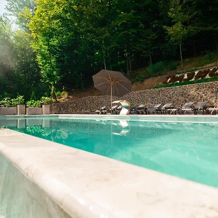 Hotel Oasis Karpat Polyana (Transcarpathia)