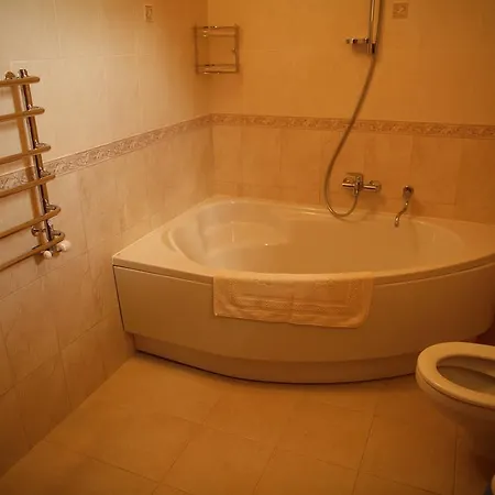 Hotel Oasis Karpat