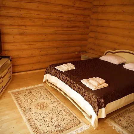 Отель Oasis Karpat 3*