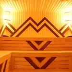 Oasis Karpat 3* Поляна