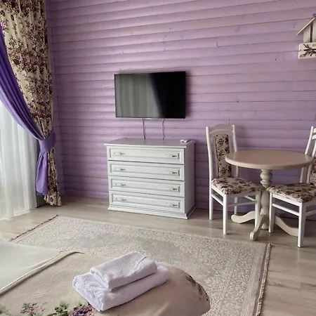 Отель Oasis Karpat