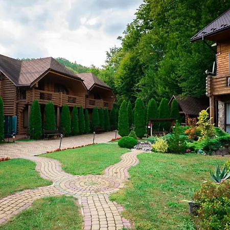 Отель Oasis Karpat