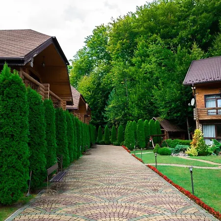 Oasis Karpat
