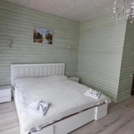 Отель Oasis Karpat 3*