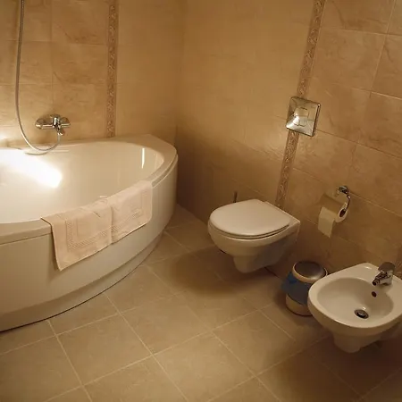 Отель Oasis Karpat 3*