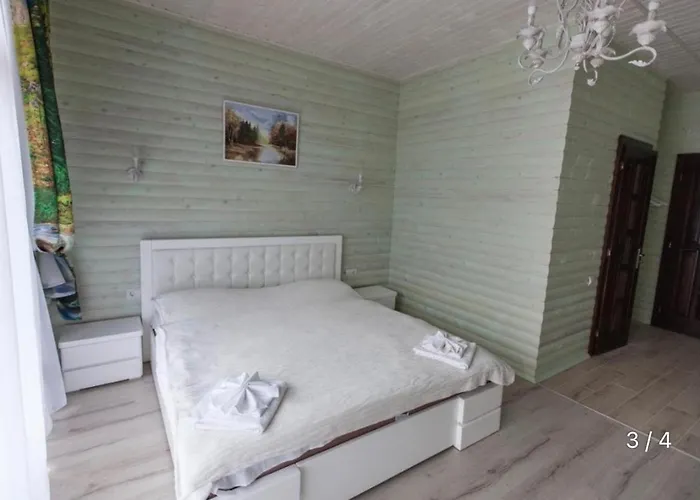 Ξενοδοχείο Oasis Karpat 3*