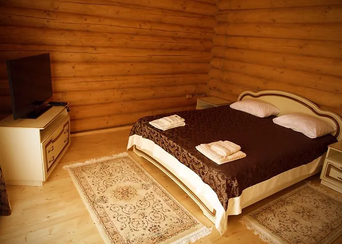 Ξενοδοχείο Oasis Karpat 3*